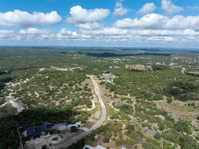348 Vail River Rd, Dripping Springs, TX 78620 - photo 9