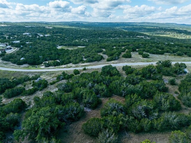348 Vail River Rd, Dripping Springs, TX 78620 - photo 11
