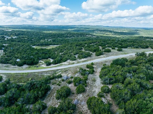 348 Vail River Rd, Dripping Springs, TX 78620 - photo 12