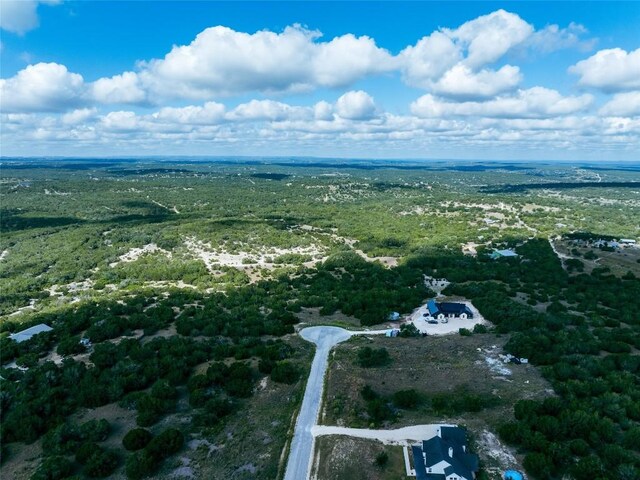 348 Vail River Rd, Dripping Springs, TX 78620 - photo 13