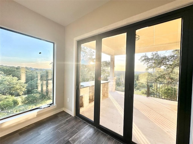 doorway to outside with dark hardwood / wood-style floors