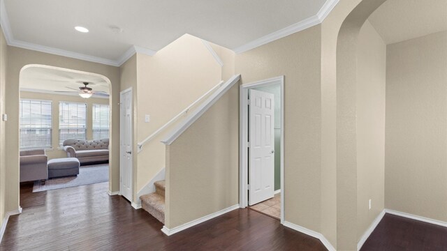 interior space featuring ornamental molding, ceiling fan, and wood-type flooring