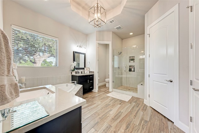 bathroom with toilet, a tray ceiling, hardwood / wood-style floors, a shower with door, and vanity