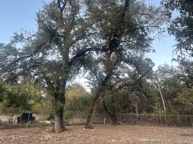 view of local wilderness