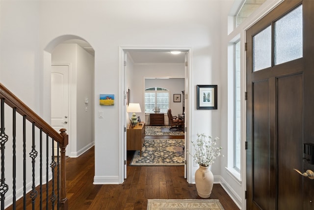 foyer featuring crown molding and dark wood-type flooring