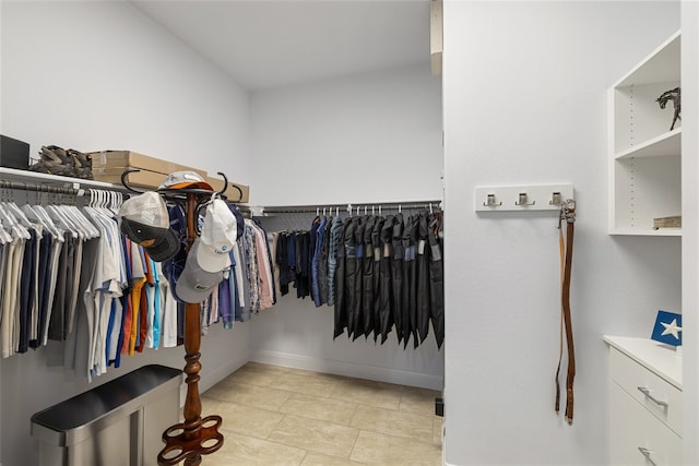 view of spacious closet