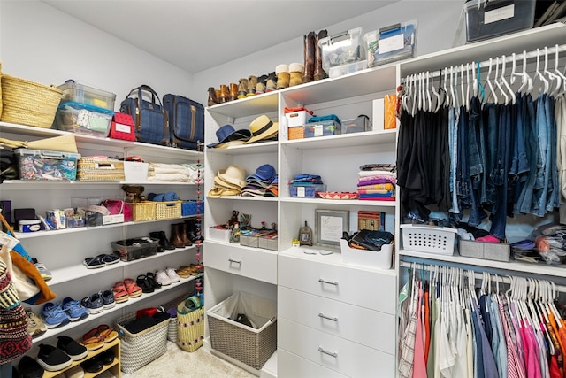 view of spacious closet