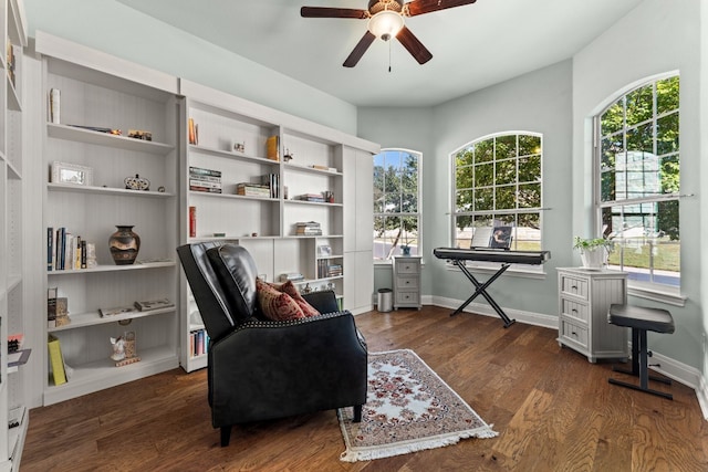 living area featuring a wealth of natural light, ceiling fan, and dark wood-type flooring