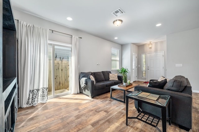 living room featuring wood-type flooring