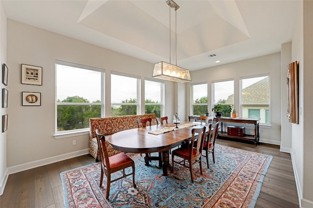 dining space featuring dark wood-type flooring and a raised ceiling