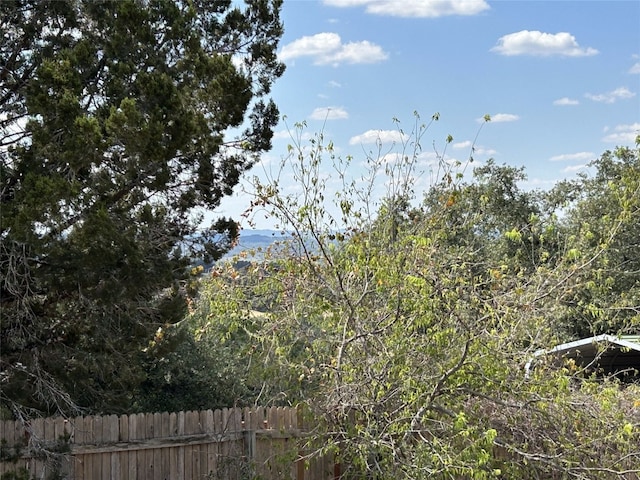 view of local wilderness