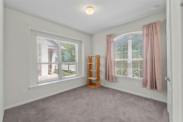 unfurnished room featuring a wealth of natural light and light carpet