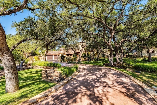 131 Plaza Escondido, Horseshoe Bay, TX 78657 - photo 28