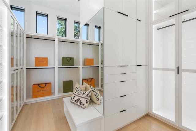 6809 Oasis Pass, Austin, TX 78732 - walk in closet with light wood-type flooring
