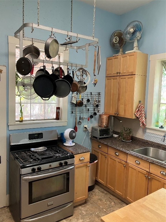 kitchen with sink, stainless steel range with gas cooktop, and a wealth of natural light