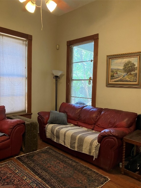 living room with hardwood / wood-style floors and ceiling fan