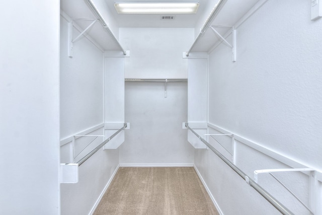 spacious closet with carpet floors