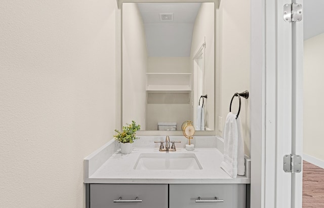 110 E Holland St, San Marcos, TX 78666 - bathroom featuring vanity, toilet, and wood finished floors