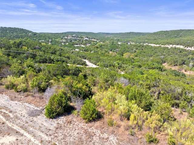 Listing photo 2 for TBD W Reed Parks Rd, Jonestown TX 78645