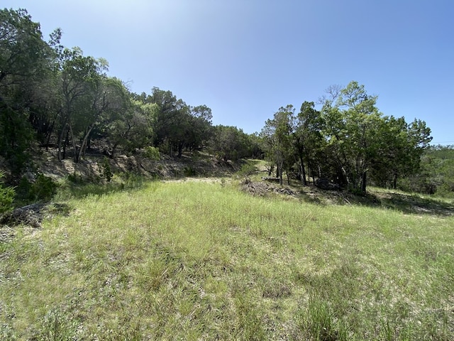 Listing photo 3 for TBD W Reed Parks Rd, Jonestown TX 78645