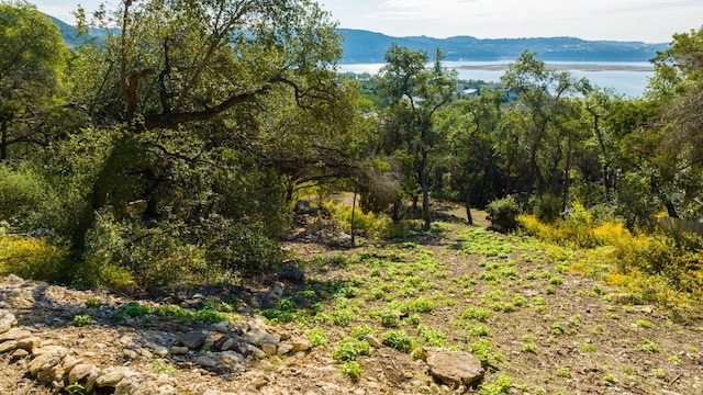 view of landscape with a water and mountain view