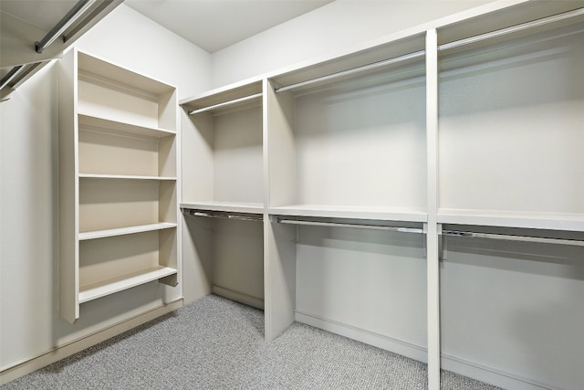 walk in closet with light colored carpet