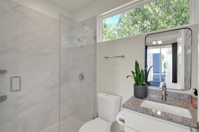 bathroom with toilet, vanity, and a stall shower