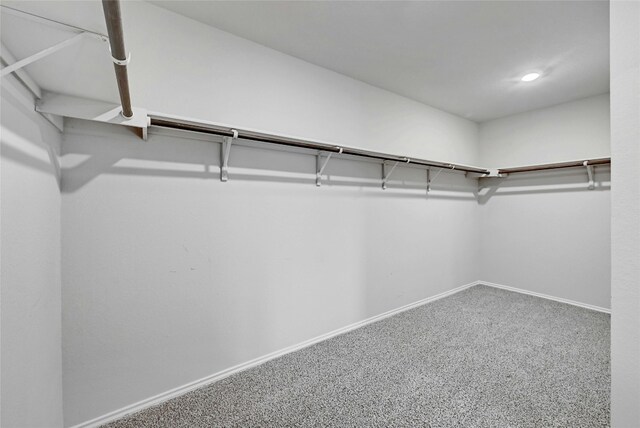 spacious closet featuring carpet floors