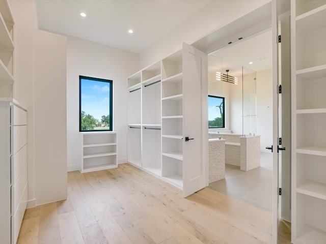 walk in closet with light wood-type flooring