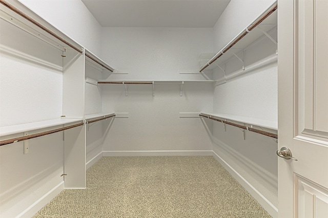 walk in closet featuring light colored carpet