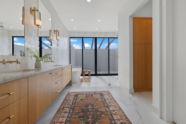 bathroom with vanity and a healthy amount of sunlight