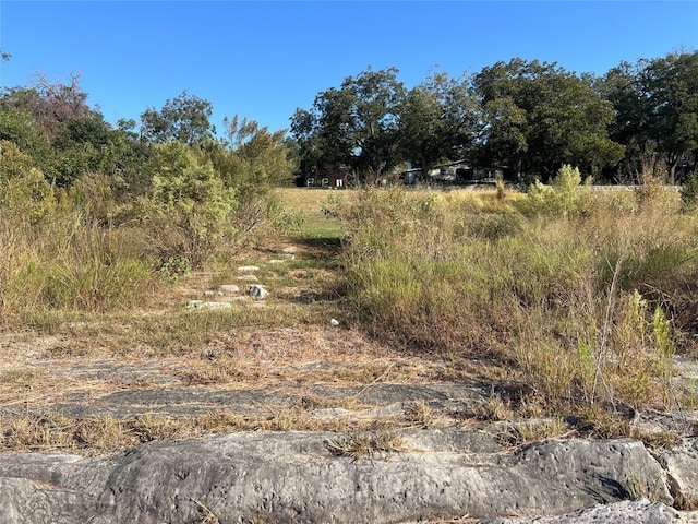 view of local wilderness with a rural view