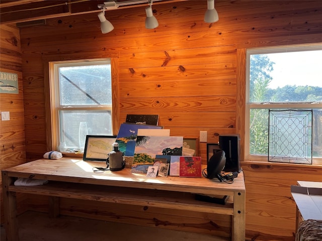 office space featuring a healthy amount of sunlight and wood walls