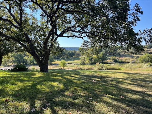 view of yard with a rural view