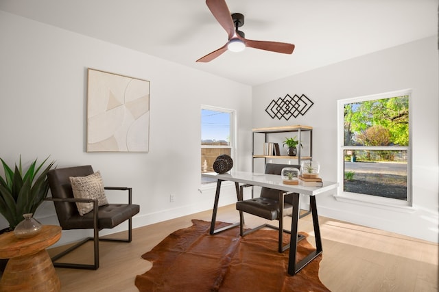 office space with hardwood / wood-style flooring and ceiling fan