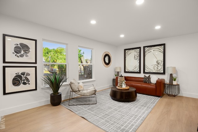 living area with light hardwood / wood-style flooring