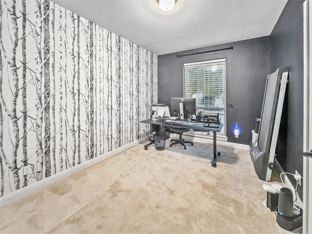 carpeted office with a textured ceiling