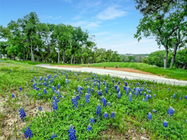 view of property's community