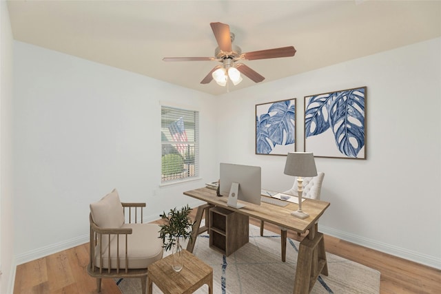 office with ceiling fan and light hardwood / wood-style flooring