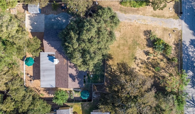 12614 Crystal Creek Dr, Buda, TX 78610 - view from above of property