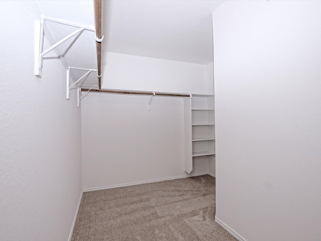 walk in closet with light carpet