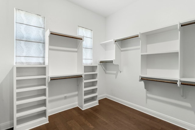 walk in closet featuring dark hardwood / wood-style floors