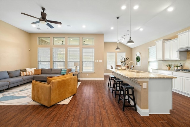 living room featuring lofted ceiling, ceiling fan, dark hardwood / wood-style flooring, and sink