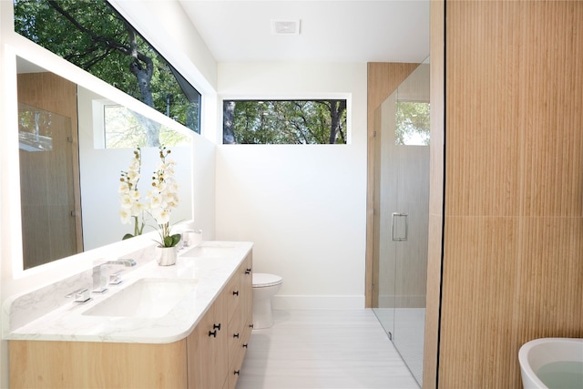 bathroom with vanity, toilet, and walk in shower