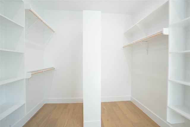 spacious closet featuring light hardwood / wood-style floors