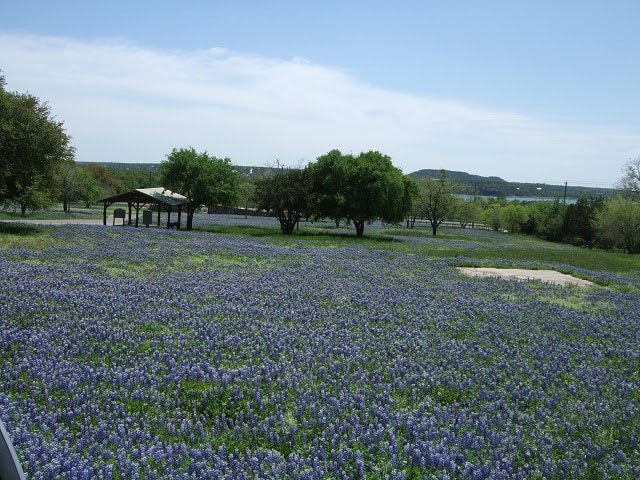 Listing photo 3 for 2805 Fm-2341 Rd, Burnet TX 78611