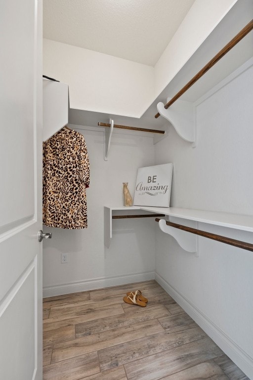 spacious closet featuring light hardwood / wood-style floors