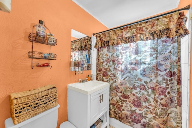 bathroom featuring vanity, curtained shower, and toilet