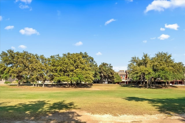 view of community with a yard