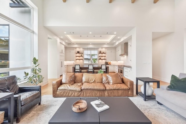 501 Delayne Dr, Austin, TX 78737 - living area with a towering ceiling, recessed lighting, and a tray ceiling